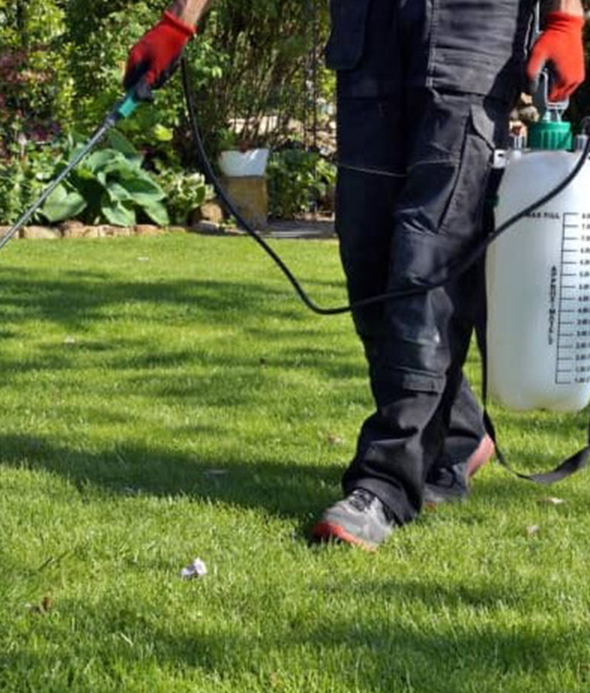 services-pic-pestcontrol2