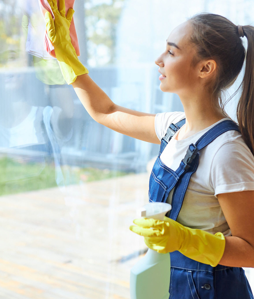 services-pic-windowcleaning
